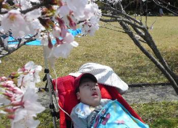 ファイル名: 20110410-1.jpg
ファイルサイズ: 25.2KB お花見