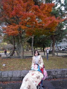 ファイル名: 20121204-2.jpg
ファイルサイズ: 26KB 紅葉の前で写真をパチリ