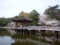 ファイル名: 20130401-1.jpg
ファイルサイズ: 9.2KB 浮見堂(奈良公園内)
