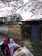 ファイル名: 20130401-5.jpg
ファイルサイズ: 12KB 創太も桜と一緒にパチリ