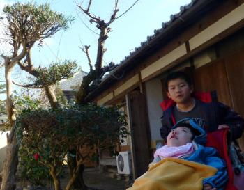 東大寺の境内にあるので眺めもすごく良かった（大仏殿の鴟尾が見える）