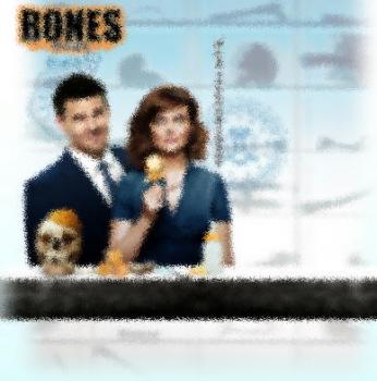 BONES (Season07) イメージ