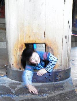 ファイル名: 20130107-2.jpg
ファイルサイズ: 81.9KB
→クリックで元のサイズを表示 健太が張り切って柱の穴を必死で通ろうとしていた
