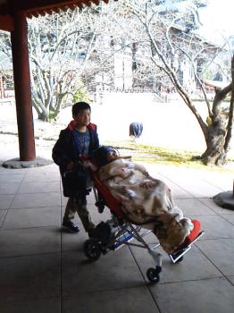 ファイル名: 20130107-4.jpg
ファイルサイズ: 96.7KB
→クリックで元のサイズを表示 健太が張り切って創太のバギーを押してくれていた