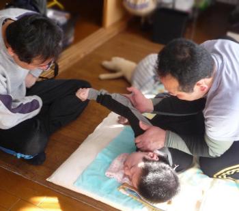 ファイル名: 20130125-1.jpg
ファイルサイズ: 70.6KB
→クリックで元のサイズを表示 今日は先生が二人来て下さった