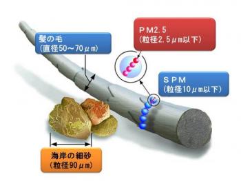 ファイル名: 20130308-1.jpg
ファイルサイズ: 24.5KB
→クリックで元のサイズを表示 微小粒子状物質・PM2.5とは(出典:U.S. EPA資料)