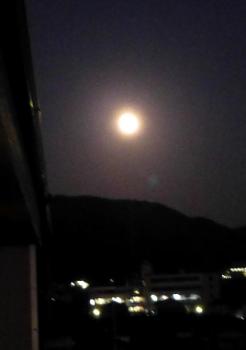 ファイル名: 20130919-2.jpg
ファイルサイズ: 29.5KB
→クリックで元のサイズを表示 明るくて、大きくて、良いお月見だったな。