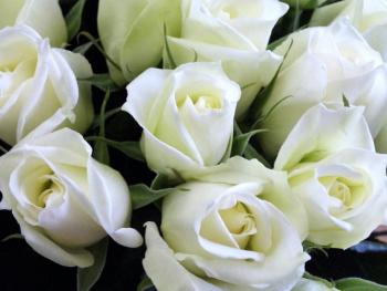ファイル名: 20131012-1.jpg
ファイルサイズ: 40.4KB
→クリックで元のサイズを表示 バラの花がお供えされていた(写真はイメージです)