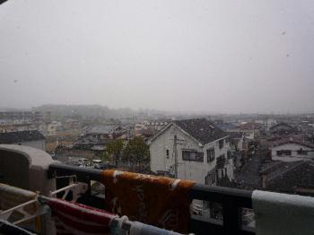 ファイル名: 20131220-1.jpg
ファイルサイズ: 65.1KB
→クリックで元のサイズを表示 怪しい天気になったと思ったらいきなり吹雪いてきた