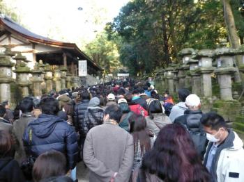ファイル名: 20140103-03.jpg
ファイルサイズ: 91.7KB
→クリックで元のサイズを表示 春日大社(すごく混雑していた)
