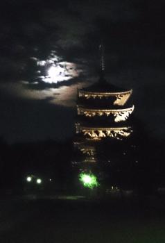 ファイル名: 20140117-01.jpg
ファイルサイズ: 35.1KB
→クリックで元のサイズを表示 ライトアップされてて更にきれい。