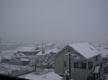 ファイル名: 20140214-01.jpg
ファイルサイズ: 56.9KB
→クリックで元のサイズを表示 ますます外は真っ白になってきた