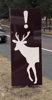 「県庁前」にある「鹿に注意」の標識