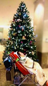 病院の受付に飾られていたクリスマスツリー