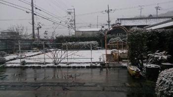 ファイル名: 20150101-02.jpg
ファイルサイズ: 77.1KB
→クリックで元のサイズを表示 夕方から、雪が降り出し一瞬だけ吹雪いていた。・・・と思ったら短時間で積もった