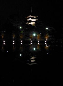 五重塔がキレイに見えた（猿沢池に映る興福寺五重塔の夜景）