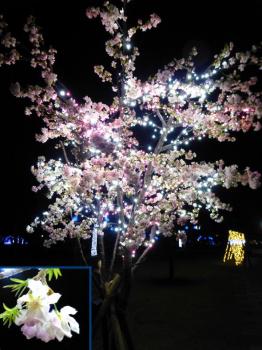 ファイル名: 20150210-04.jpg
ファイルサイズ: 96.8KB
→クリックで元のサイズを表示 桜の木