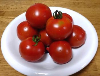 ばあちゃん作のトマト