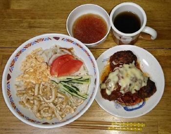 ファイル名: 20150812-02.jpg
ファイルサイズ: 95KB
→クリックで元のサイズを表示 ちょっと遅めの夕飯(中華風素麺と煮込みハンバーグ)美味しかった!(父)