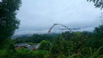 朝、病院を出たらモヤモヤした雲でした。