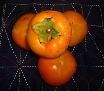庭で採れた柿