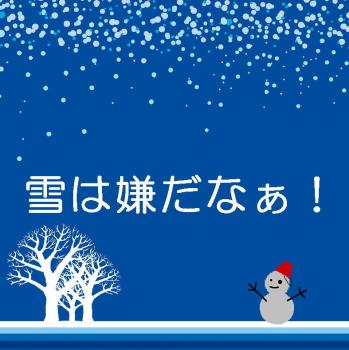 雪は嫌だなぁ。