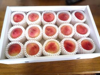 ファイル名: 20160712-02.jpg
ファイルサイズ: 104.8KB
→クリックで元のサイズを表示 美味しそうな桃を頂きました 有り難うございます!