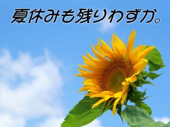 ファイル名: 20160823-01.jpg
ファイルサイズ: 64.2KB
→クリックで元のサイズを表示 夏休みも残りわずか。