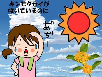 ファイル名: 20161019-01.jpg
ファイルサイズ: 65.7KB
→クリックで元のサイズを表示 それにしても暑すぎ。
