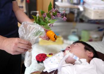 ハロウィンのカボチャや、季節の花（ホトトギス）を見せて貰ったり。