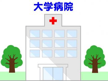 ファイル名: 20161129-01.jpg
ファイルサイズ: 38.7KB
→クリックで元のサイズを表示 診察日(小児科)