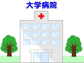 診察日（小児科）