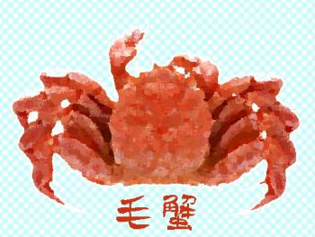 ファイル名: 20170202-01.jpg
ファイルサイズ: 47.4KB
→クリックで元のサイズを表示 毛ガニ しっかり身が詰まってて美味しかった。