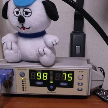 ファイル名: 20170214-02.jpg
ファイルサイズ: 70.5KB
→クリックで元のサイズを表示 心拍も70台まで下がってきた