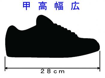 ファイル名: 20170403-01.jpg
ファイルサイズ: 28.2KB
→クリックで元のサイズを表示 28cmで幅広