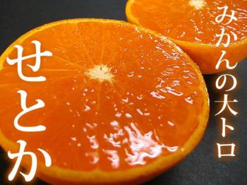 ファイル名: 20170422-02.jpg
ファイルサイズ: 83.5KB
→クリックで元のサイズを表示 種がないし甘い!