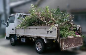 ファイル名: 20170503-01.jpg
ファイルサイズ: 76.7KB
→クリックで元のサイズを表示 1.5トンのトラックは、あっと言う間にいっぱい