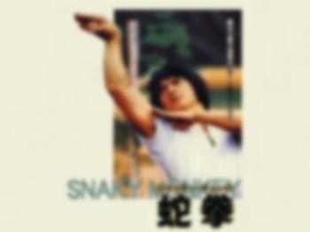 ファイル名: 20170505-01.jpg
ファイルサイズ: 24.9KB
→クリックで元のサイズを表示 懐かしい映画「スネーキーモンキー蛇拳」