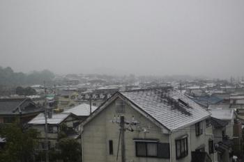 空は白くてどんよりして雪は降り続けてる。