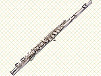 ファイル名: 20180501-02.jpg
ファイルサイズ: 100.7KB
→クリックで元のサイズを表示 フルートの音楽鑑賞会の真っ最中